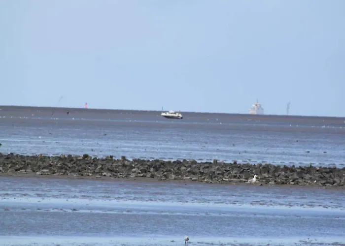 Behind The Dike بيت للعطل