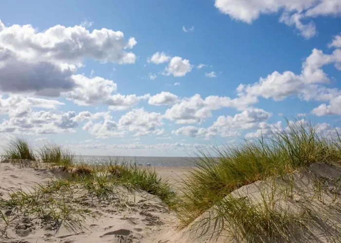 Behind The Dike * نورديش